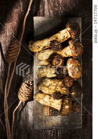 Mushroom 14717700