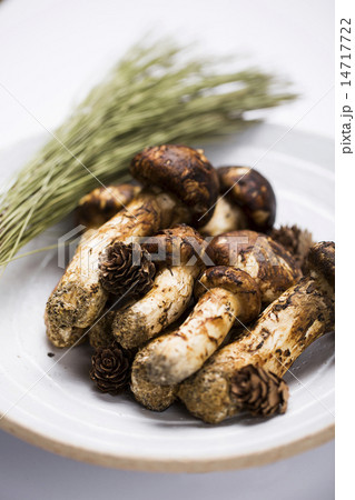 Mushroom Mushroom 14717722