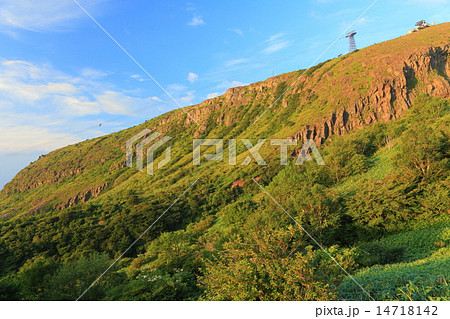 茶臼岳山麓 14718142