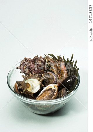Seafood 14718857