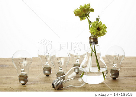 電球と花の写真素材