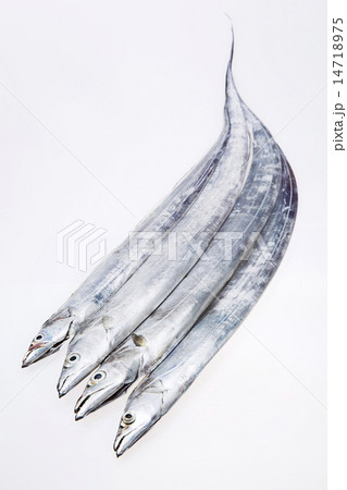 Seafood Seafood 14718975