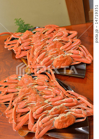 民宿の松葉ガニ 14719351