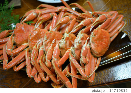 民宿の松葉がに 民宿の松葉がに 14719352