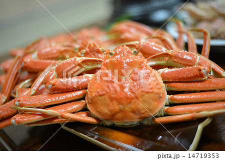 民宿の松葉がに 14719353