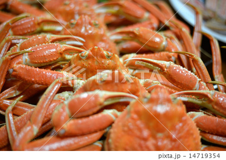 民宿の松葉がに 14719354