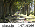 道 14719366