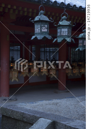 春日大社　 万燈籠 14719936