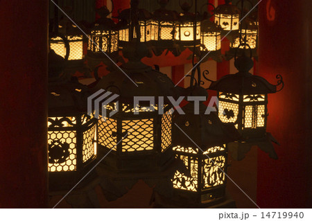 春日大社　 万燈籠 14719940