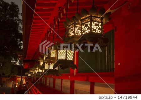 春日大社　 万燈籠 14719944