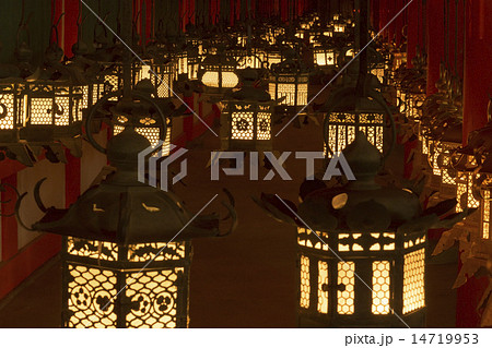 春日大社　 万燈籠 14719953