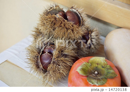 栗 柿　バターナッツカボチャ 14720138