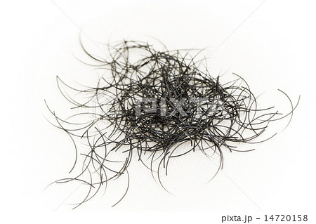 つけまつげの材料　False eyelashes of the Asian woman 14720158