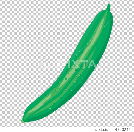 黃瓜_ 01 黃瓜_ 01 14720245