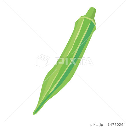 おくら_01 14720264