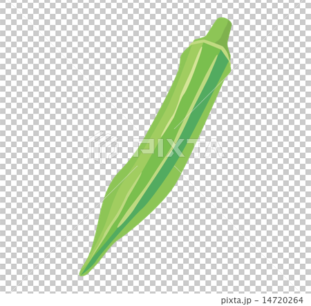 おくら_01 14720264