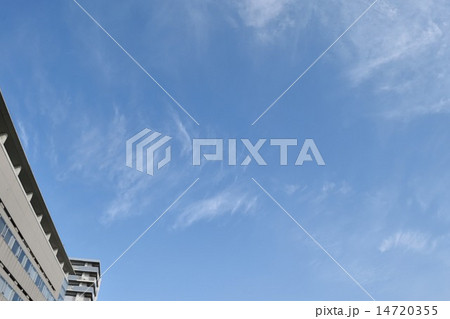 見上げれば青空 見上げれば青空 14720355