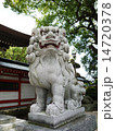 狛犬 14720378