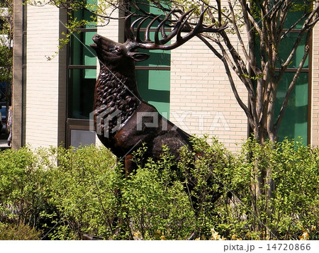 Washington Elk Statue 2010 14720866