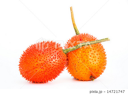 Gac fruit isolated on white background 14721747