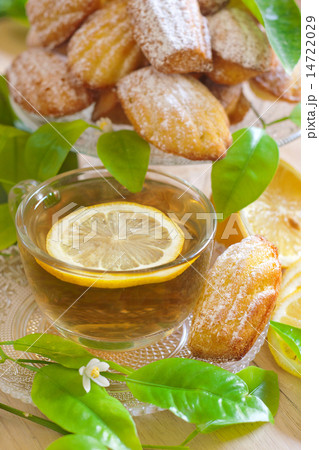 Lemon madeleines with tea 14722029