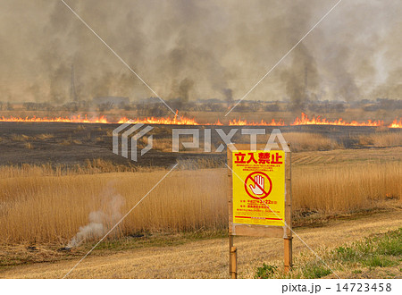 ヨシ焼き－立入禁止 14723458
