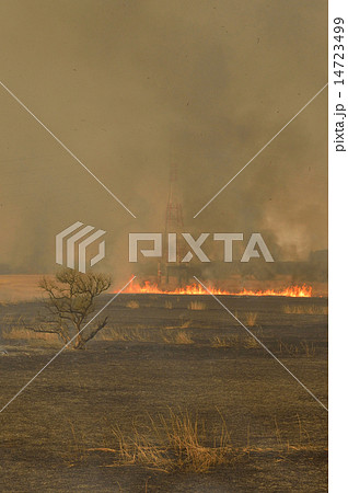 ヨシ焼き－火刑の鉄塔② 14723499