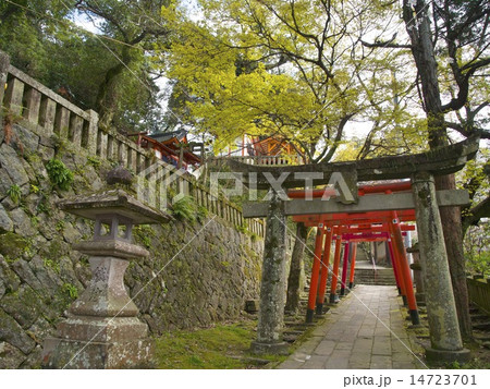 若宮稲荷神社参道 14723701