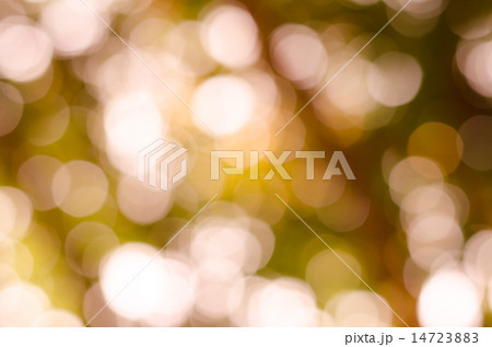 Abstract nature blur 14723883