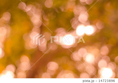 Abstract nature blur 14723896