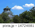 大阪城の天守 14724081