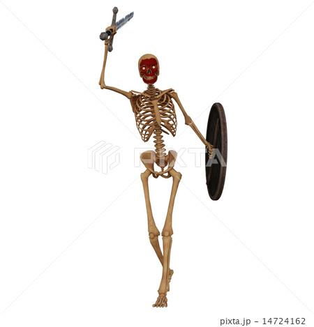 ガイコツ戦士 ガイコツ戦士 14724162