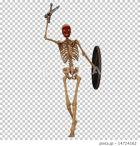 ガイコツ戦士 ガイコツ戦士 14724162