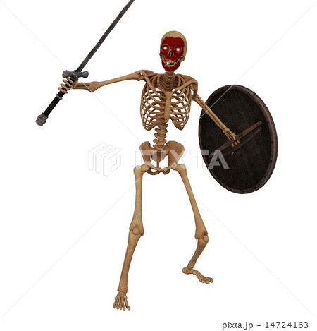 ガイコツ戦士 ガイコツ戦士 14724163