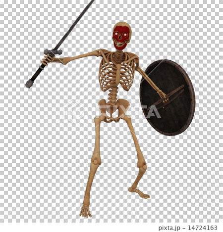 ガイコツ戦士 ガイコツ戦士 14724163