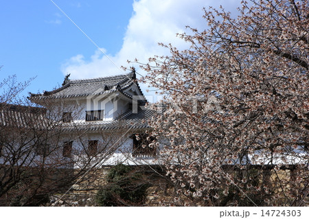 姫路城西の丸と桜 14724303