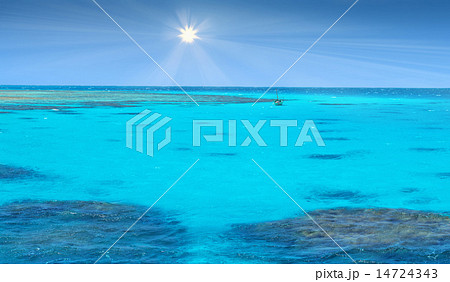 Crystal clear blue coral water of a Red Sea 14724343
