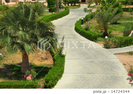 road in tropical garden 14724344