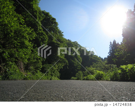 新緑の山道 新緑の山道 14724838