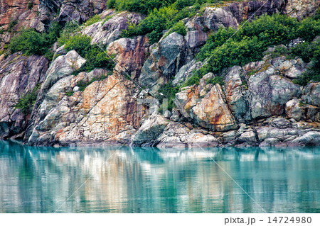 Amazing Alaska 14724980