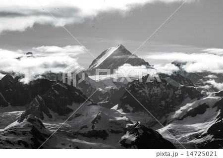 Amazing Alaska 14725021