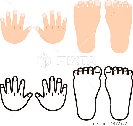 手の甲と足の甲 手足のツメのイラスト素材