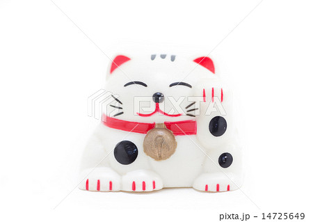 白い招き猫 14725649