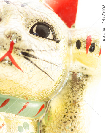 金の招き猫 14725652