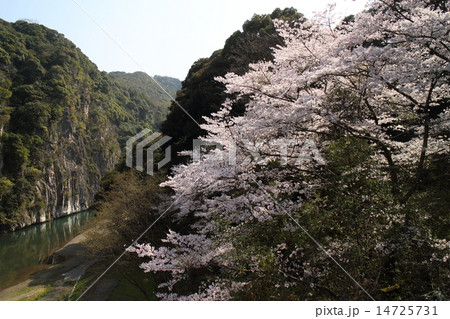 立神峡 立神峡 14725731