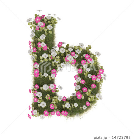 アサガオのアルファベット 14725792