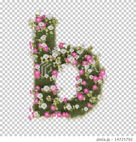 アサガオのアルファベット 14725792