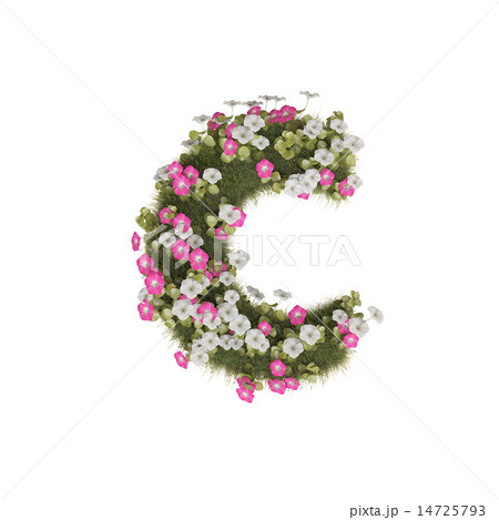 アサガオのアルファベット 14725793