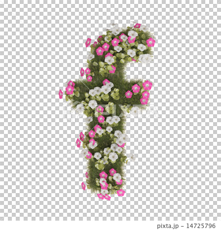 Alphabet of morning glory 14725796