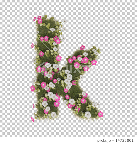 Alphabet of morning glory 14725801